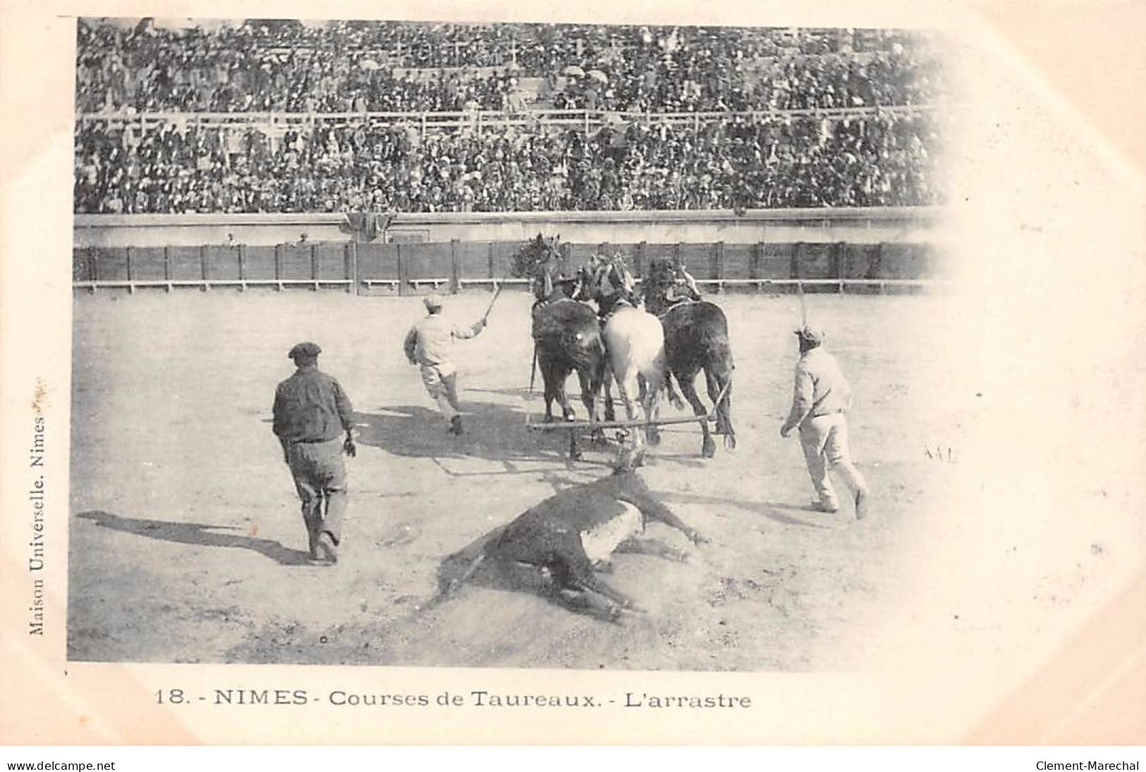 NIMES - Courses De Taureaux - L'arrastre - Très Bon état - Nîmes