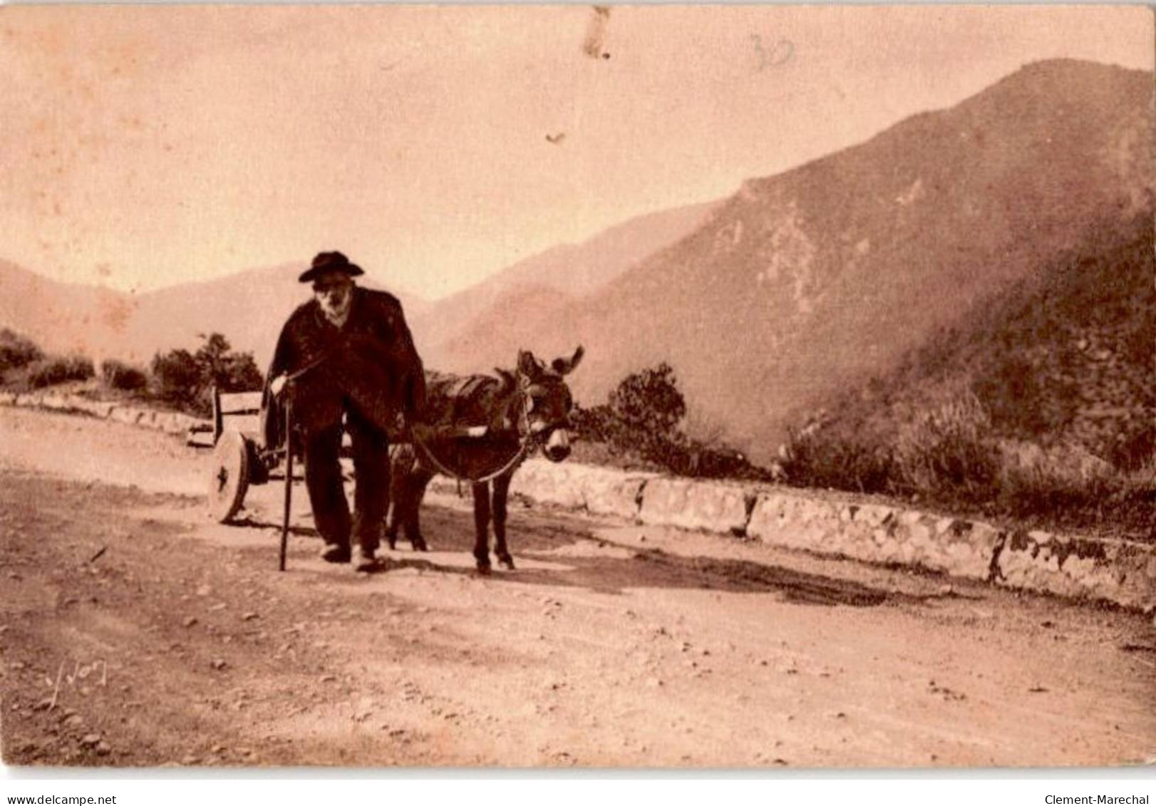 CORSE: BONIFACIO: Type De Vieux Bonifacien Avec Son Attelage - Très Bon état - Andere & Zonder Classificatie