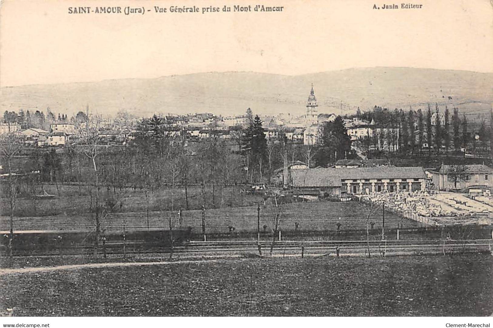 SAINT AMOUR - Vue Générale Prise Du Mont D'Amour - Très Bon état - Altri & Non Classificati