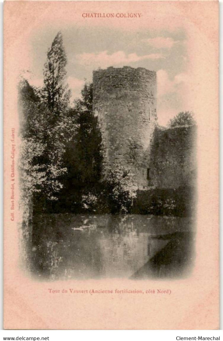 CHATILLON-COLIGNY: Tour Du Vauvert - Très Bon état - Chatillon Coligny