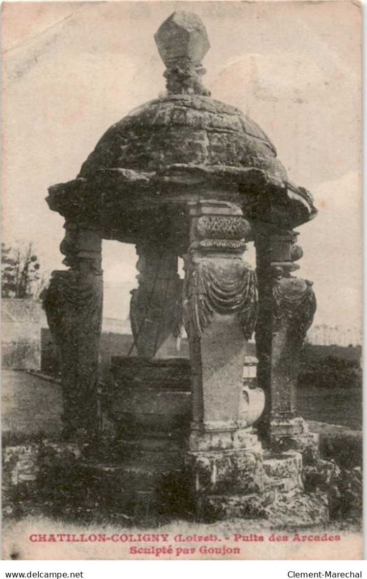 CHATILLON-COLIGNY: Puits Des Arcades Sculpté Par Goujon - état - Chatillon Coligny