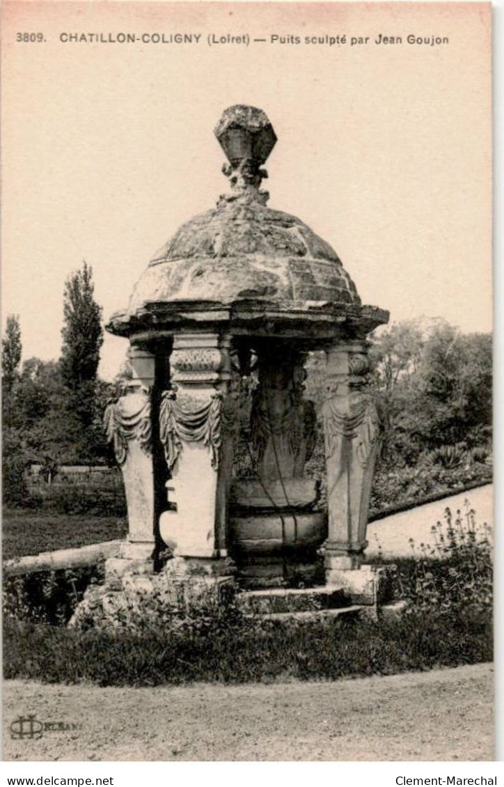 CHATILLON-COLIGNY: Puits Sculpté Par Jean Goujon - Très Bon état - Chatillon Coligny