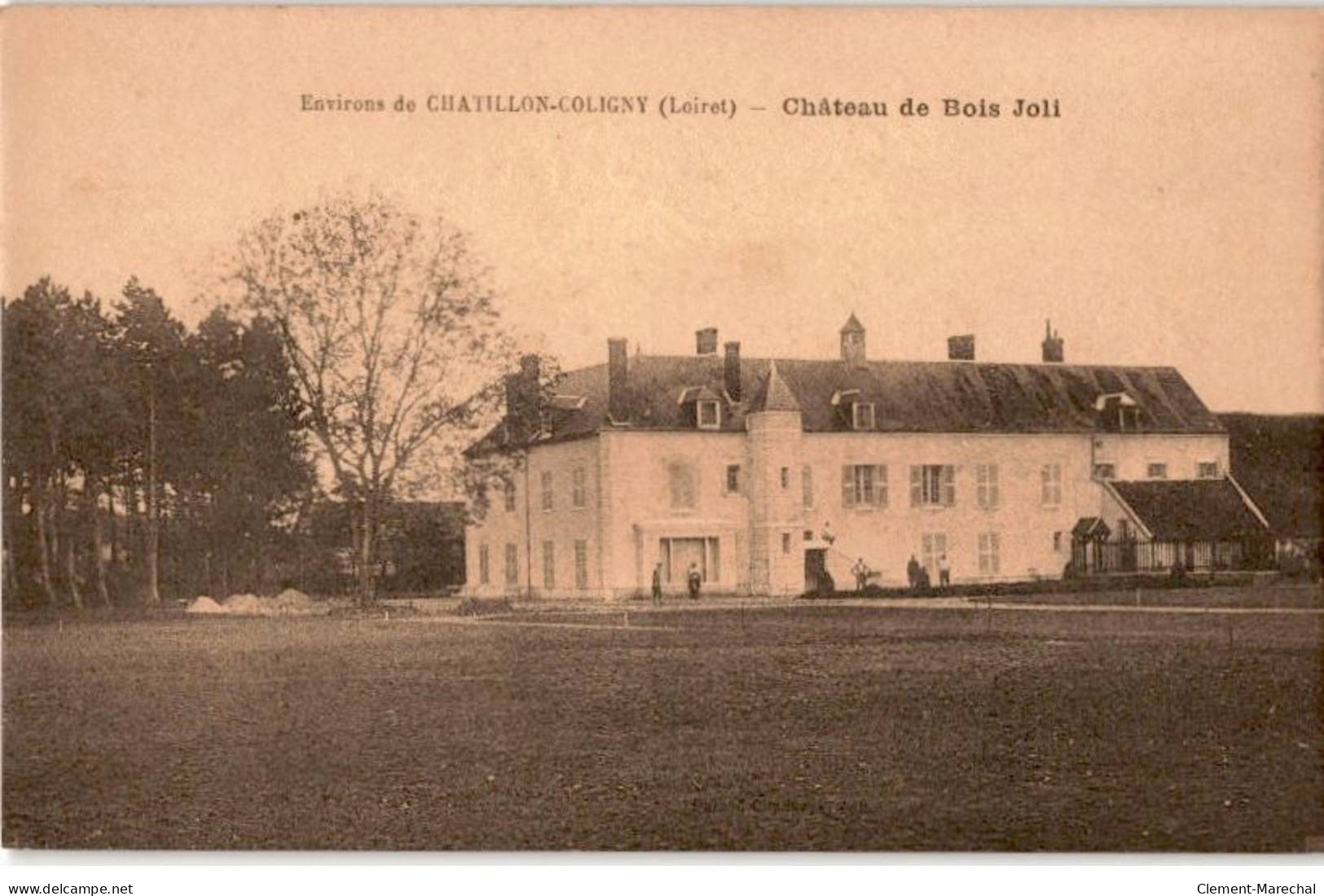 CHATILLON-COLIGNY: Château De Bois Joli - Très Bon état - Chatillon Coligny