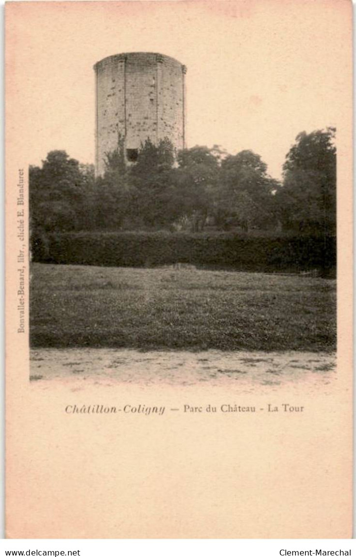 CHATILLON-COLIGNY: Parc Du Château, La Tour - Très Bon état - Chatillon Coligny