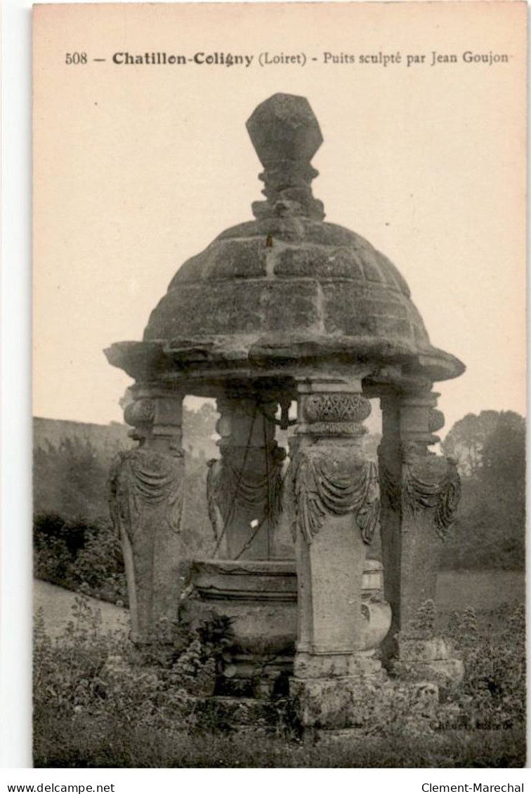 CHATILLON-COLIGNY: Puits Sculpté Par Jean Goujon - Très Bon état - Chatillon Coligny