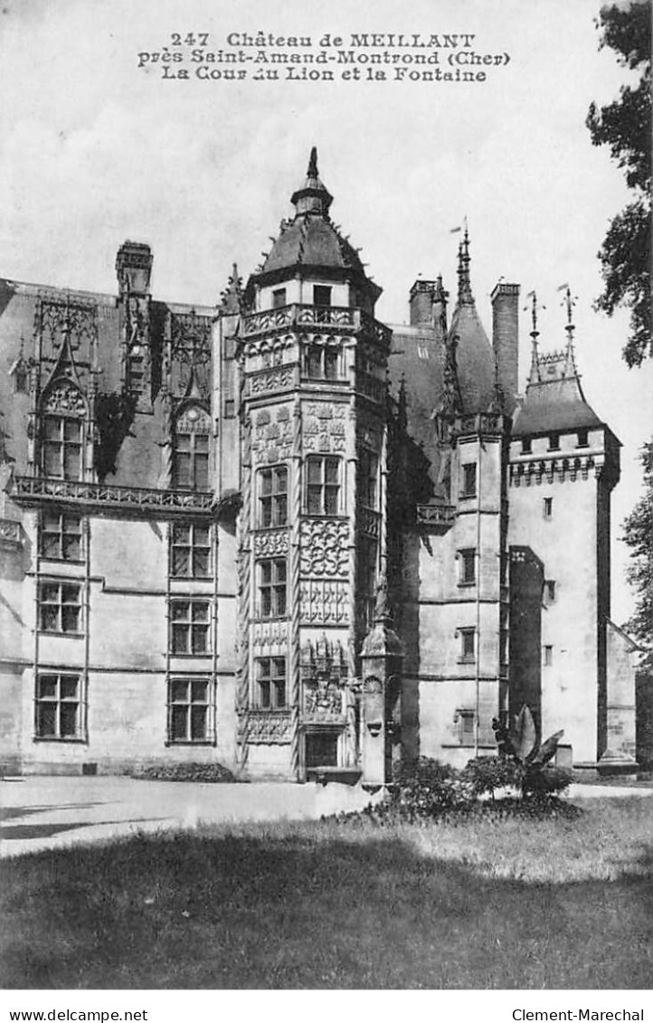 Château De MEILLANT - La Cour Du Lion Et La Fontaine - état - Meillant