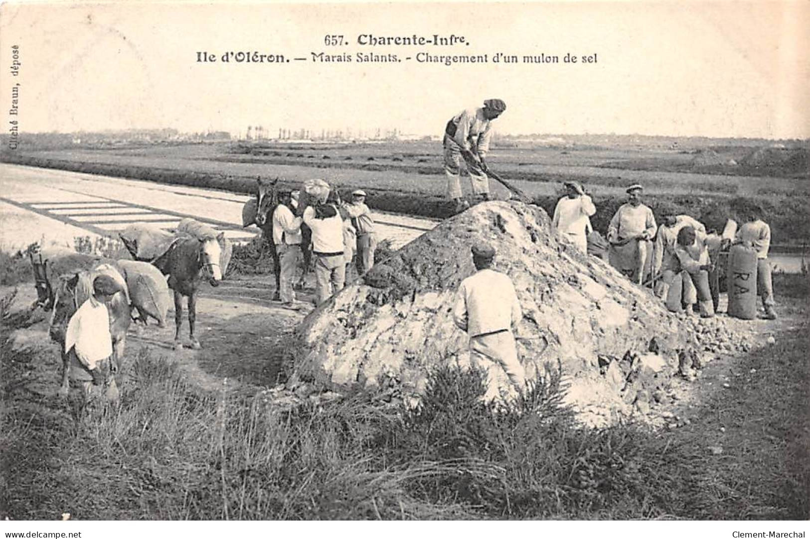 ILE D'OLERON - Marais Salants - Chargement D'un Mulon De Sel - Très Bon état - Ile D'Oléron