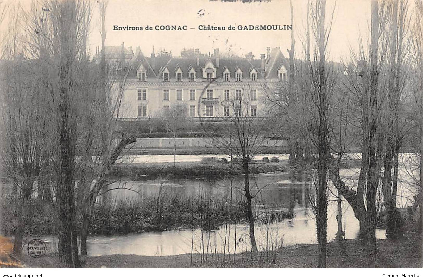 Environs De COGNAC - Château De GADEMOULIN - état - Andere & Zonder Classificatie