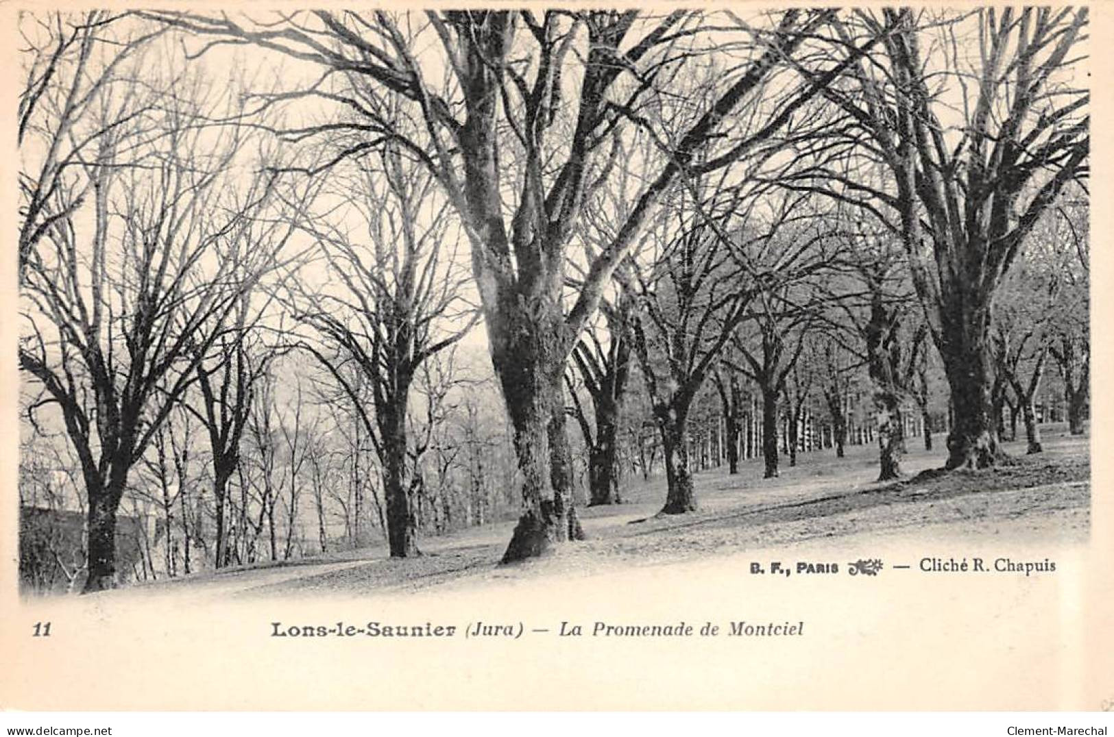 LONS LE SAUNIER - La Promenade De Montcel - Très Bon état - Lons Le Saunier