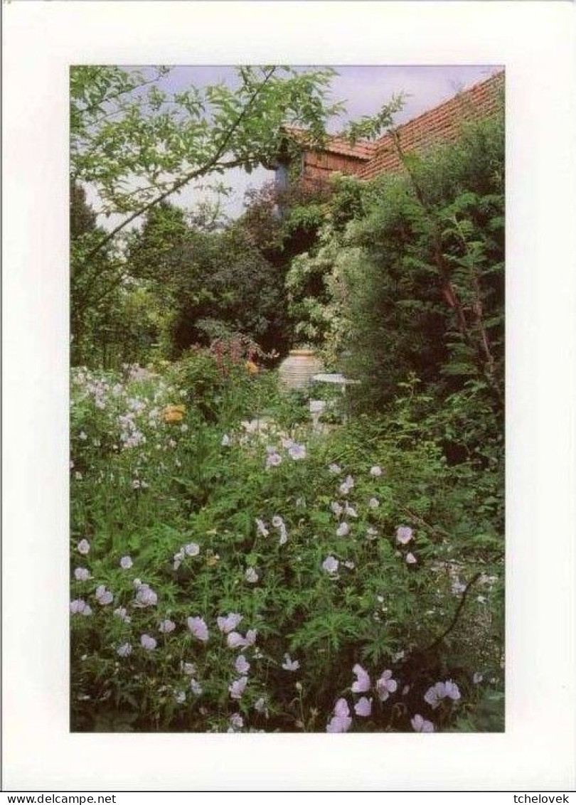 (76). SM. Grigneuseville Jardins D'Agapanthe Fleurs - Other & Unclassified