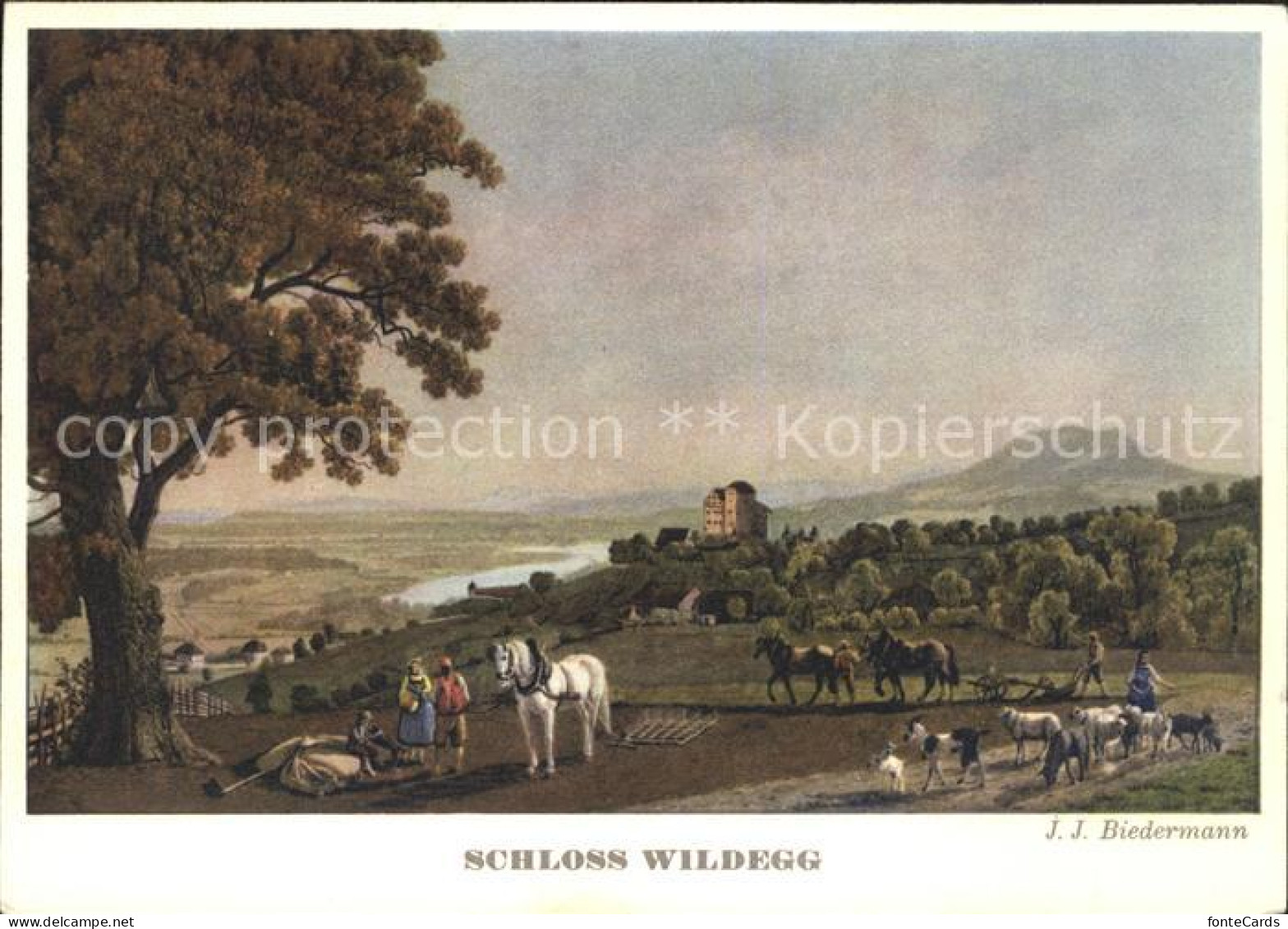 11627274 Wildegg Schloss Wildegg Bauern Pferde Wildegg - Other & Unclassified