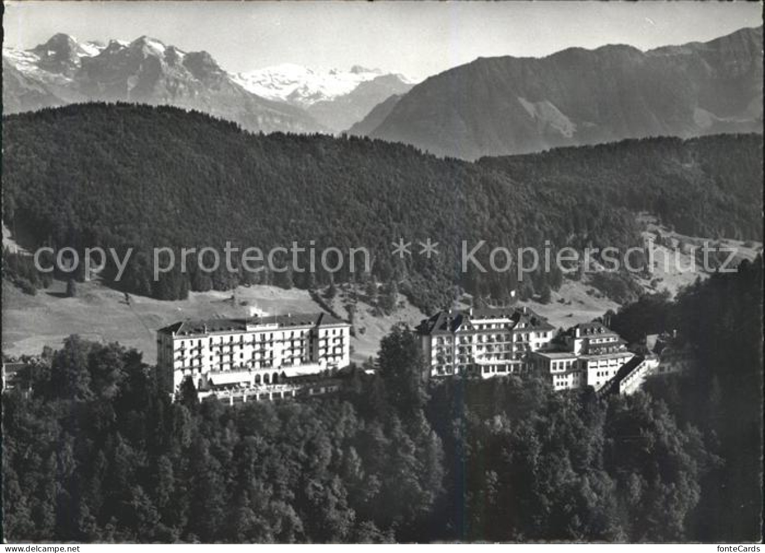 11627059 Buergenstock Buergenstock Hotels Palace Und Park Hotel Fliegeraufnahme  - Autres & Non Classés