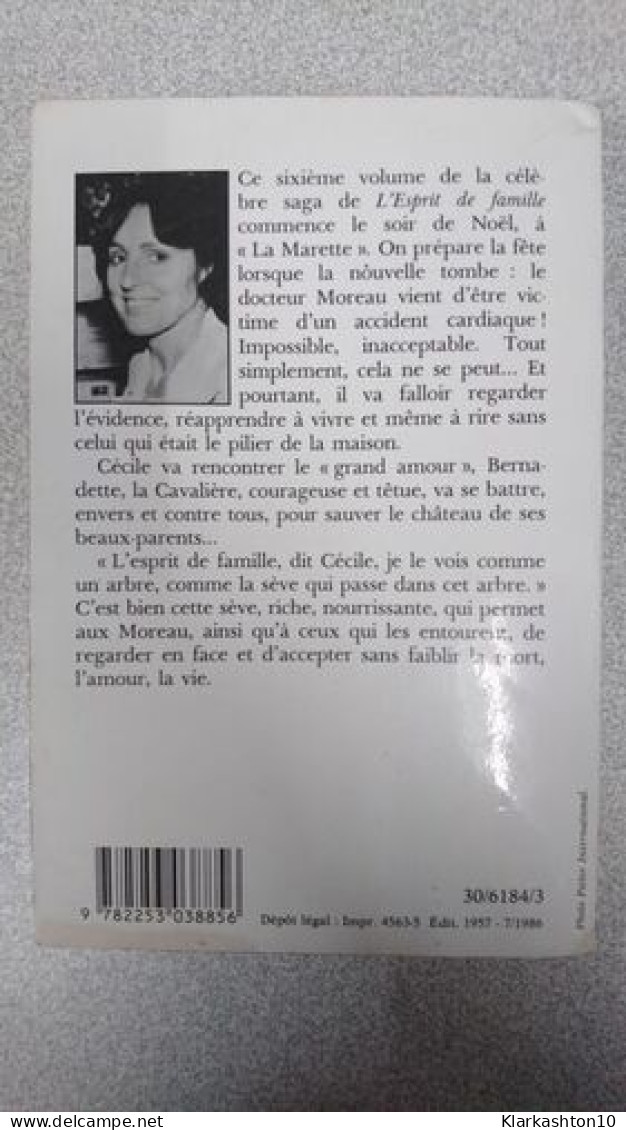 L'esprit De Famille T6- Cecile Et Son Amour - Other & Unclassified