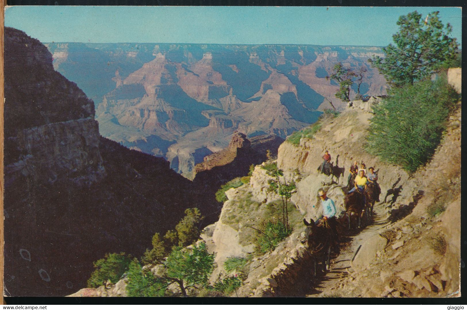 °°° 30877 - USA - AZ - GRAND CANYON NATIONAL PARK °°° - Grand Canyon