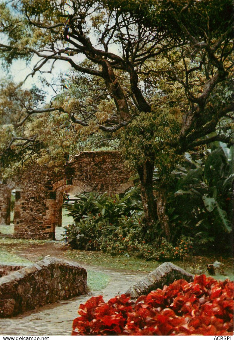 SAINTE MARIE RUINE (scan Recto-verso) Ref 1015 - Autres & Non Classés