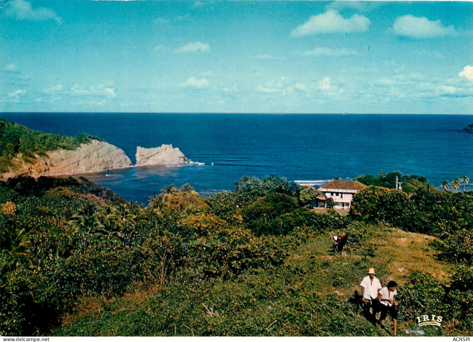 MARTINIQUE La Cote Atlantique Vers La TRINITE (scan Recto-verso) Ref 1014 - La Trinite