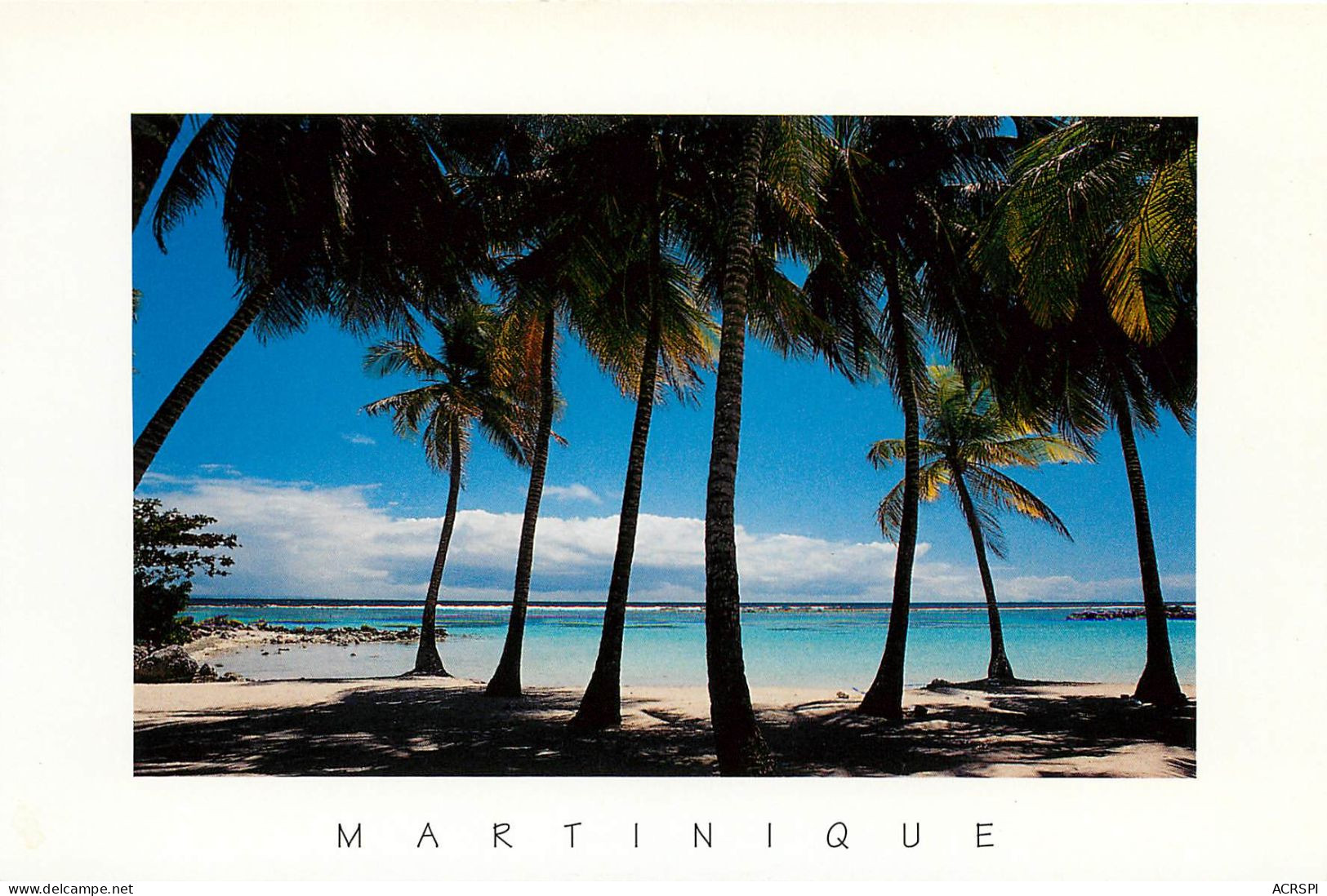 MARTINIQUE Cote Atlantique à L'ombre Des Palmiers (scan Recto-verso) Ref 1014 - Fort De France