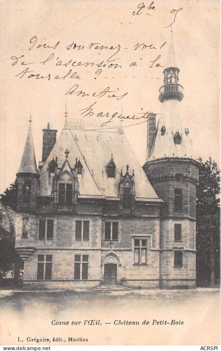 Cosne-d'Allier  Cosne Sur L'oeil  Château De Petit-Bois.     (scan Recto-verso) Ref 1004 - Vichy