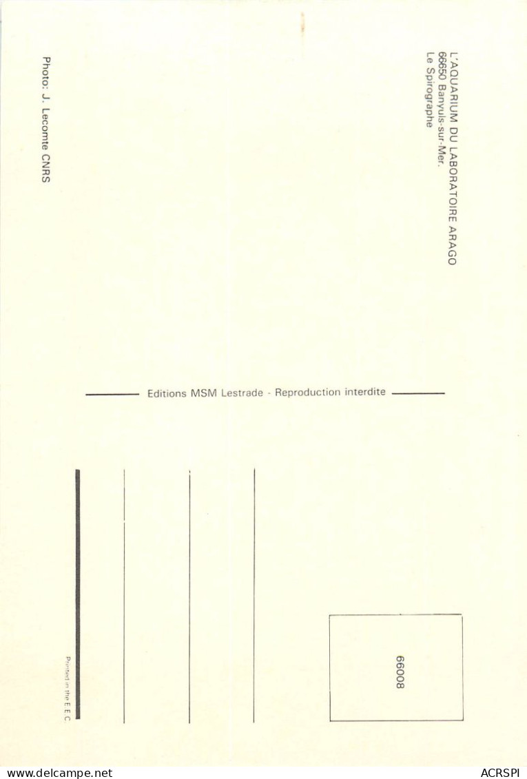 BANYULS-sur-MER, L'Aquarium Du Laboratoire Arago (scan Recto-verso) Ref 1041 - Banyuls Sur Mer