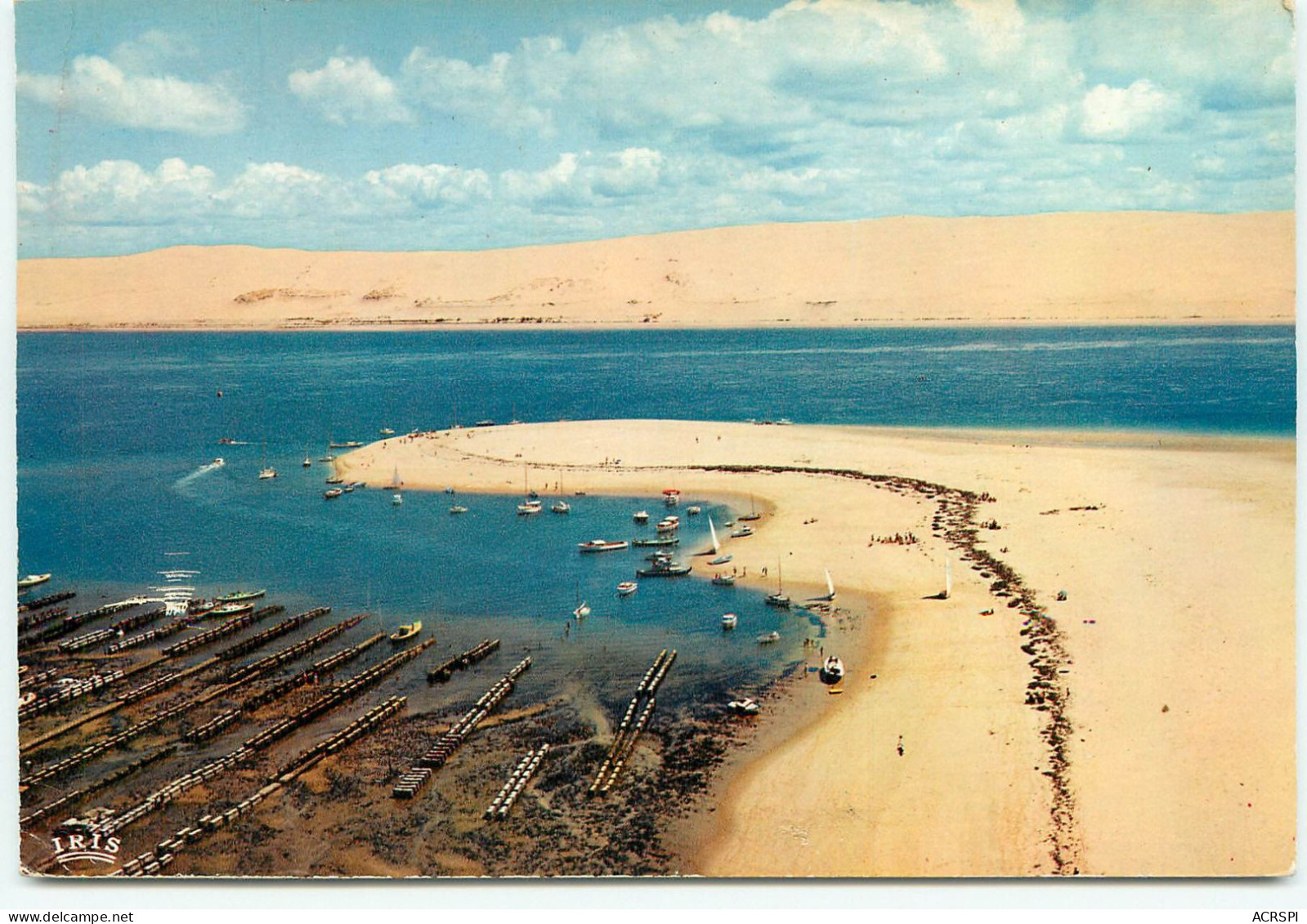 ARCACHON Le Banc D'arguin Et La Dune Du Pilat  (scan Recto-verso) Ref 1096 - Arcachon