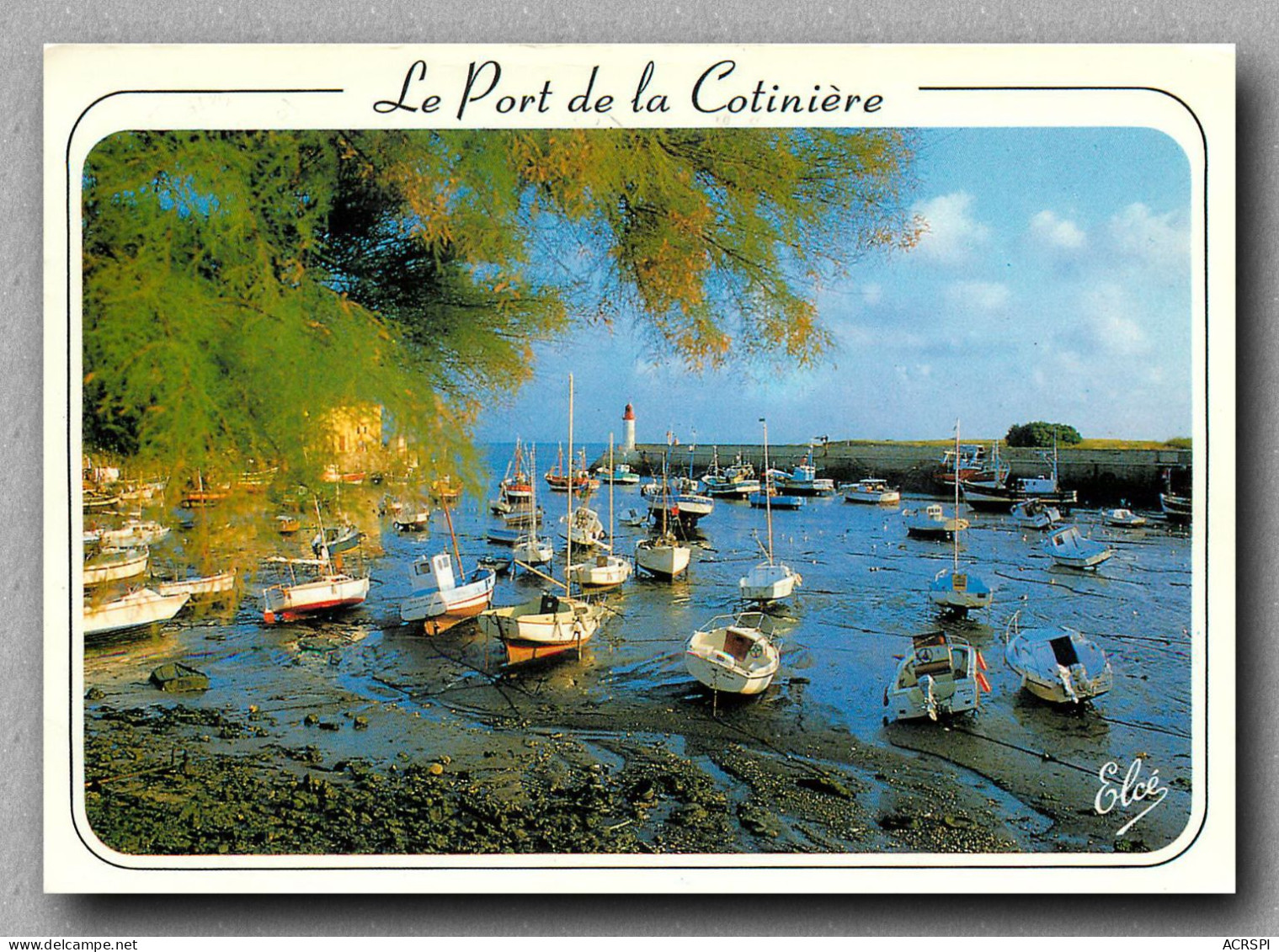 Oleron Le Port De La Cotiniere Et Le Phare  (scan Recto-verso) Ref 1073 - Ile D'Oléron