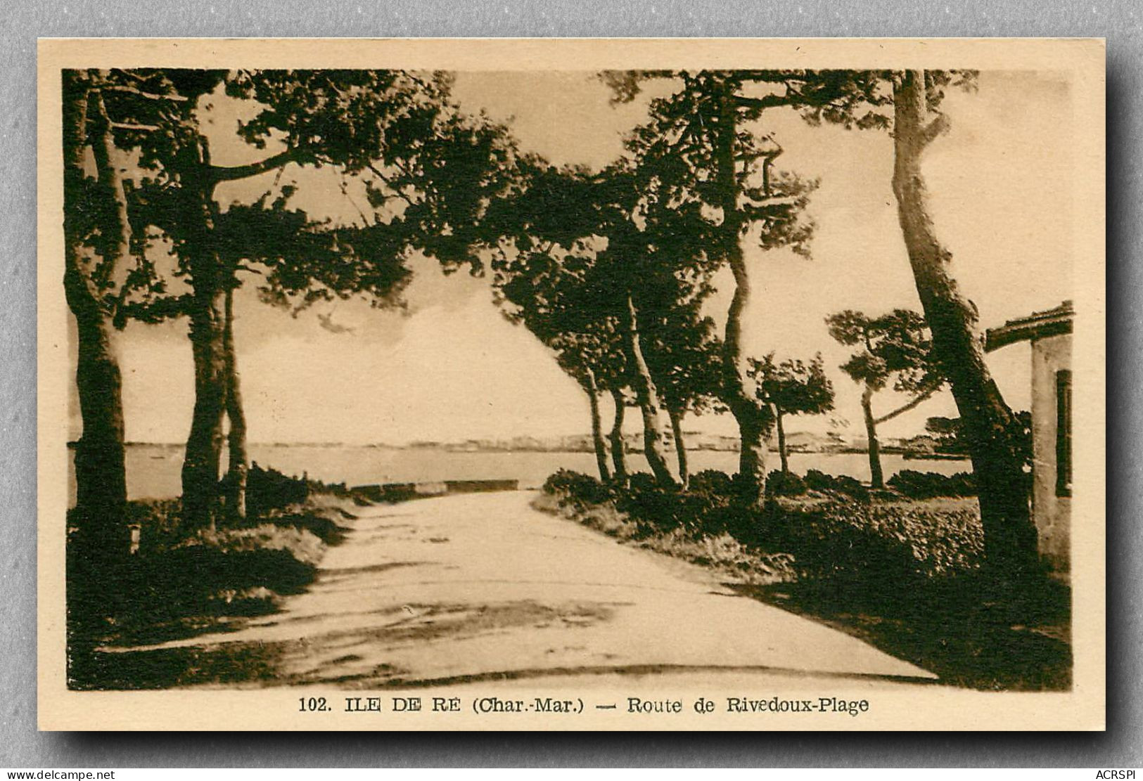 île De Ré Route De Rivedoux Plage   (scan Recto-verso) Ref 1072 - Ile De Ré