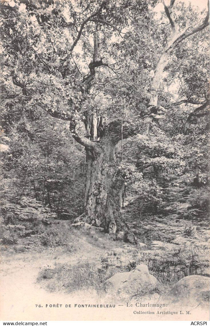 77  Forêt De FONTAINEBLEAU Le Charlemagne  (Scan R/V) N°   33   \PP1099Vic - Fontainebleau