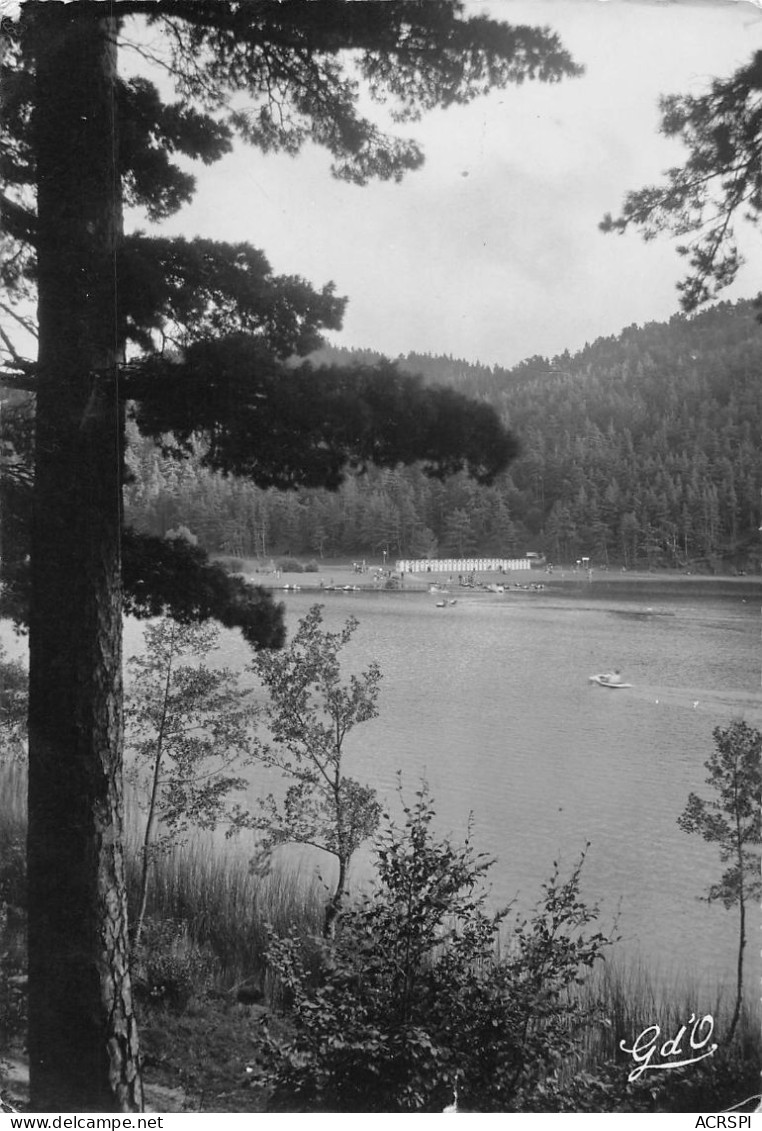 63  Lac Chambon Plage Vue Prise De La Presqu'île   (Scan R/V) N°   69   \PP1099Ter - Ambert