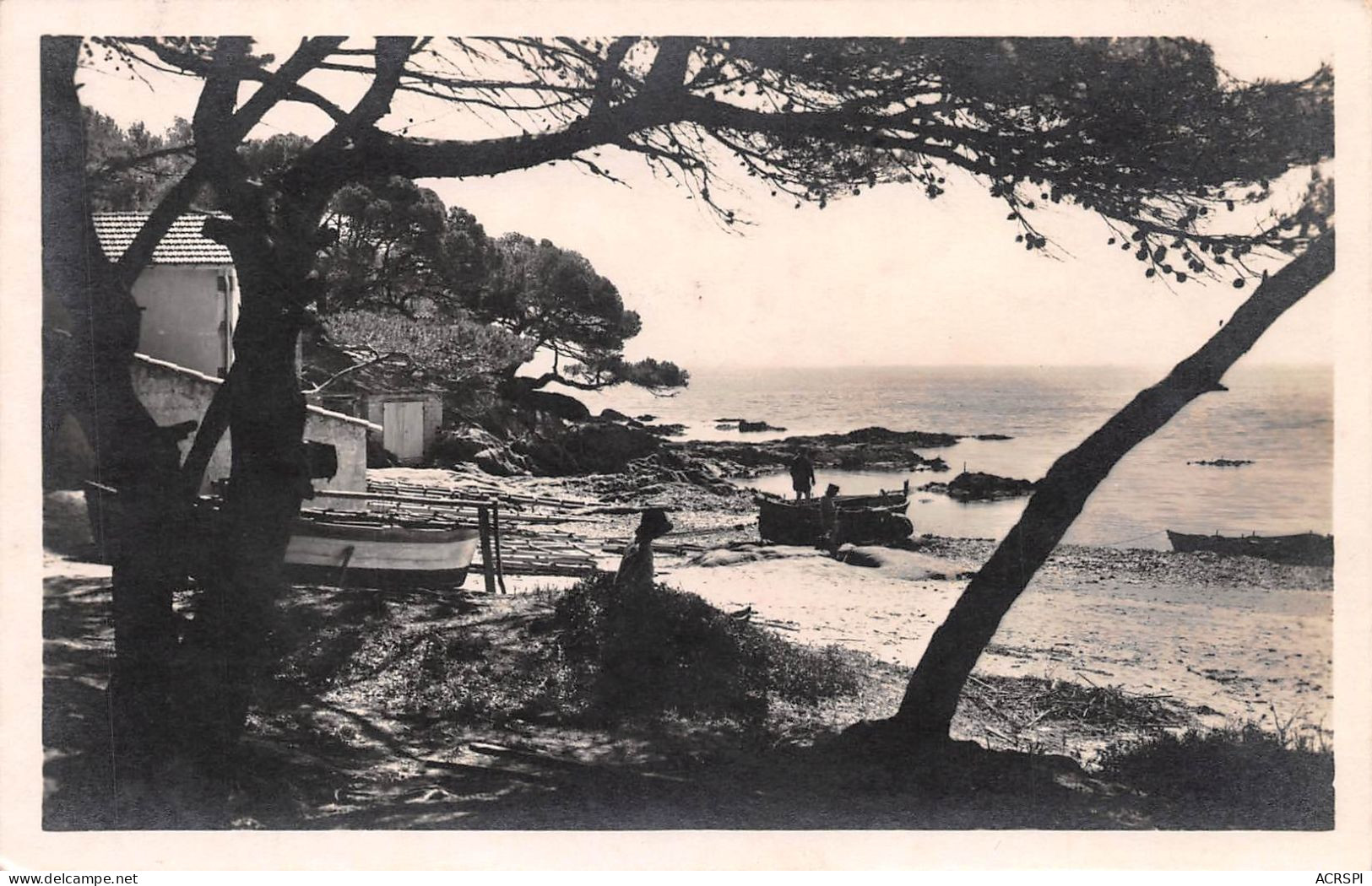 83  LE LAVANDOU  La Favière   (Scan R/V) N°   50   \PP1099Ter - Le Lavandou