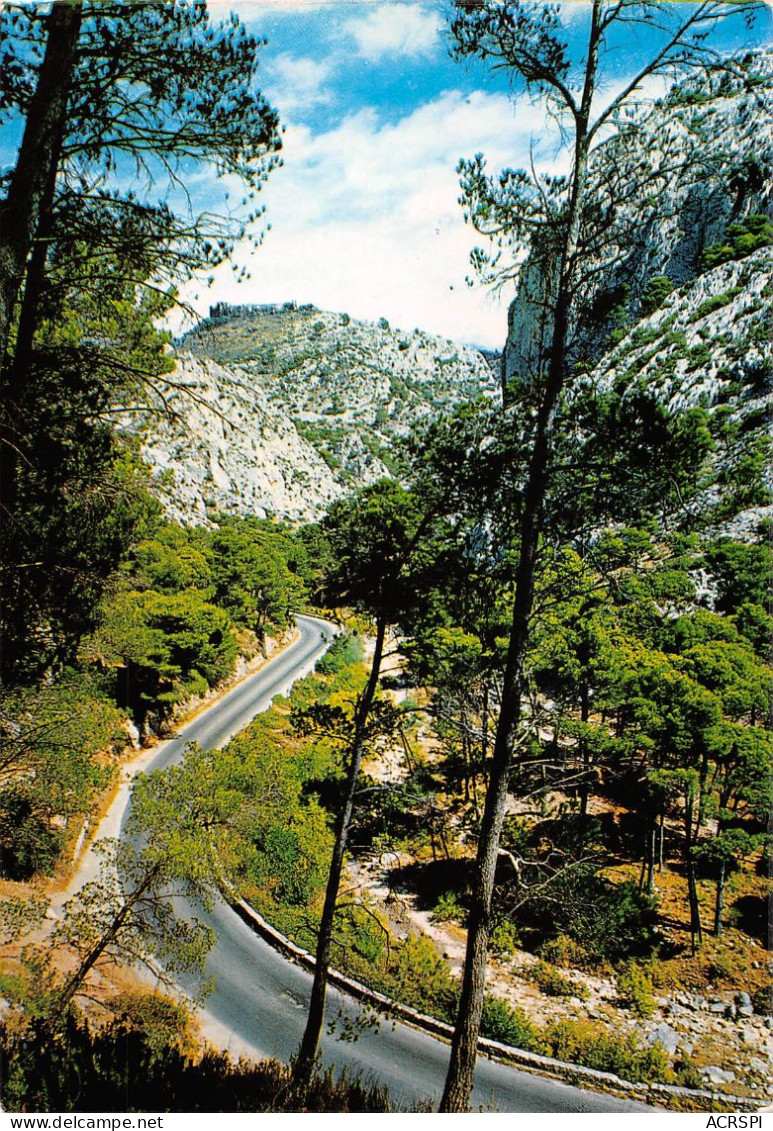 83  Ollioules La Route Des  Gorges  (Scan R/V) N°   17   \PP1099Ter - Ollioules
