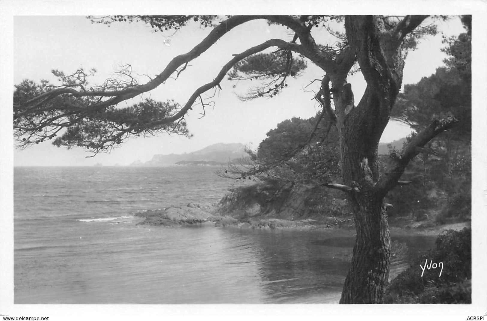 83  Île De Porquerolles  Hyères-Les-Palmiers Pointe PRIME         (Scan R/V) N°   5   \PP1099Ter - Hyeres