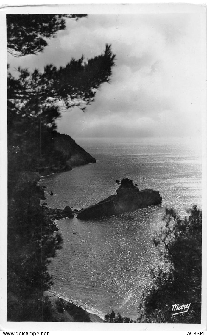 83 BANDOL  Baie De La Galère   (Scan R/V) N°   53   \PP1099Bis - Bandol