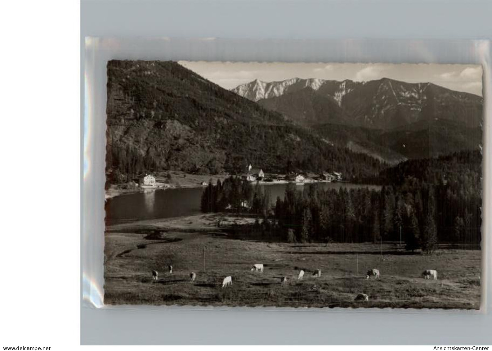 50219808 - Spitzingsee - Schliersee