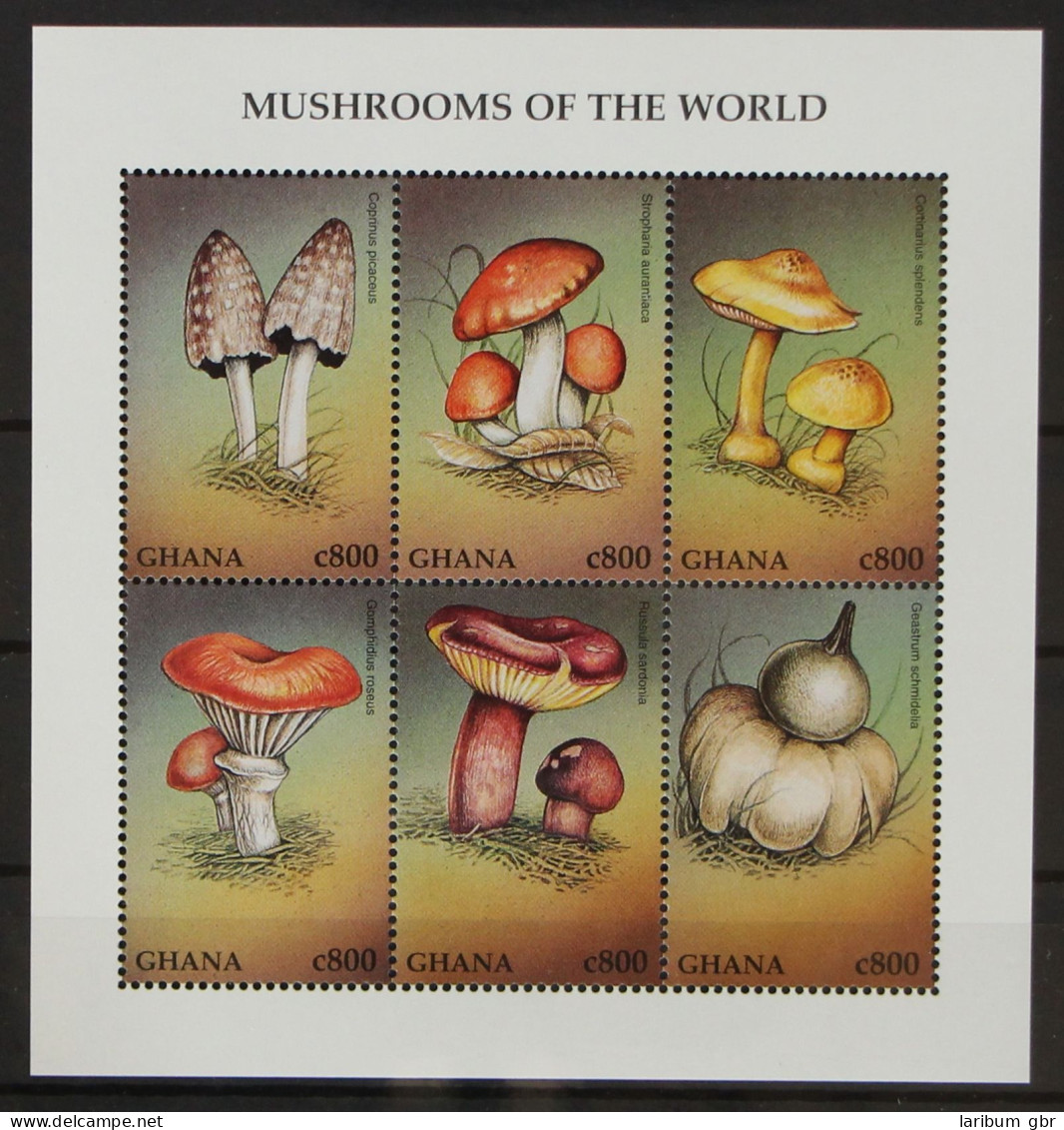 Ghana 2534-2539 Postfrisch Kleinbogen / Pilze #GH125 - Ghana (1957-...)