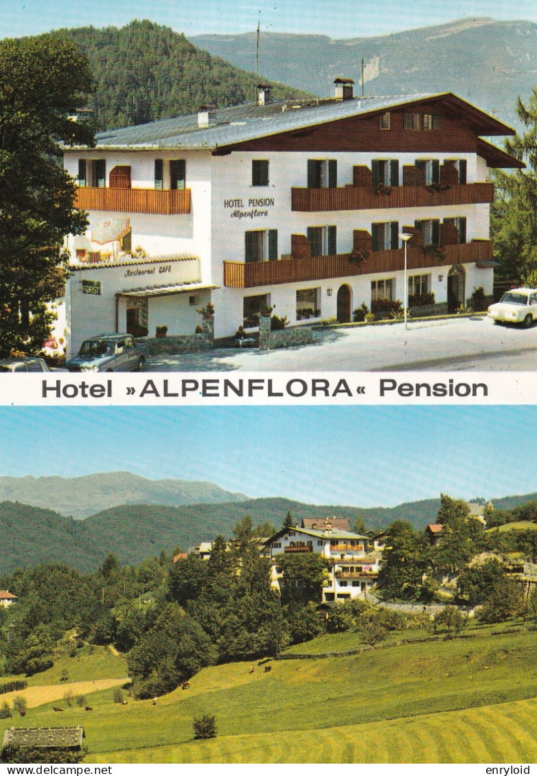 Hotel Alpen Flora Pension Castelrotto - Andere & Zonder Classificatie