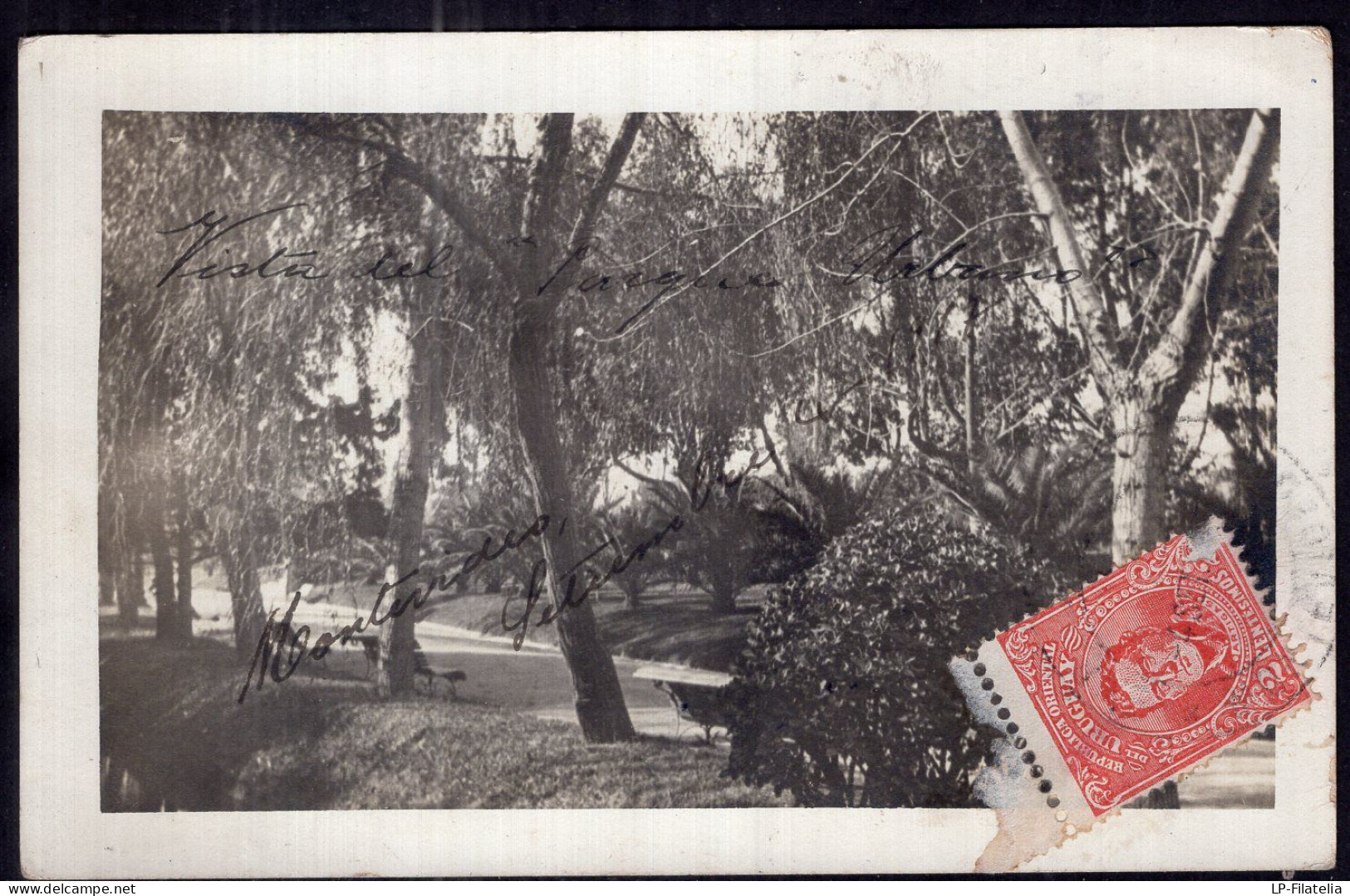 Uruguay - 1907 - Montevideo - Vista Del Parque Urbano - Uruguay