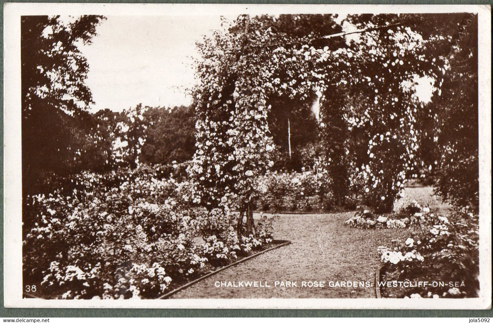 ROYAUME UNI + WESTCLIFF-ON-SEA - Chalkwell Park Rose Garden - Southend, Westcliff & Leigh