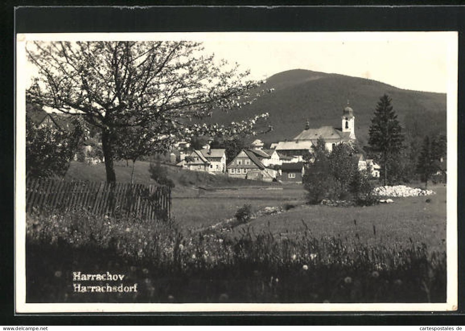 AK Harrachov / Harrachsdorf, Ortsansicht Im Frühling  - Czech Republic