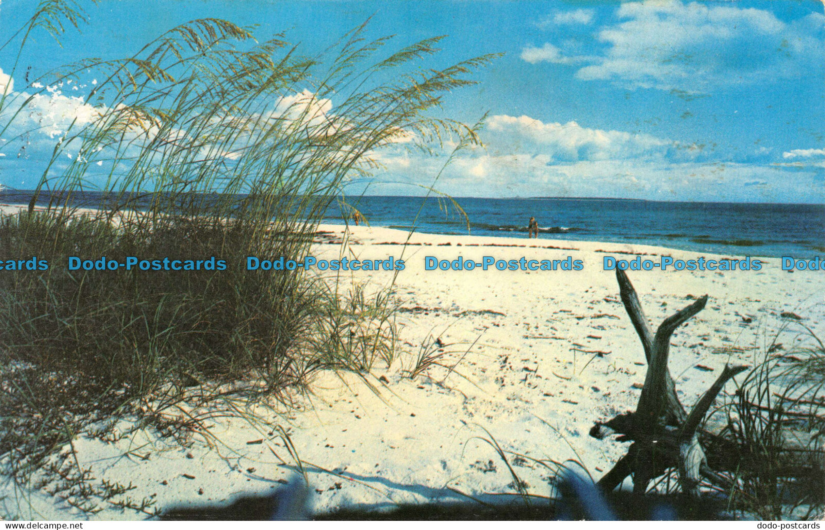 R065407 Beautiful White Sandy Beach On Floridas Coasts. Koppel. 1976 - Monde