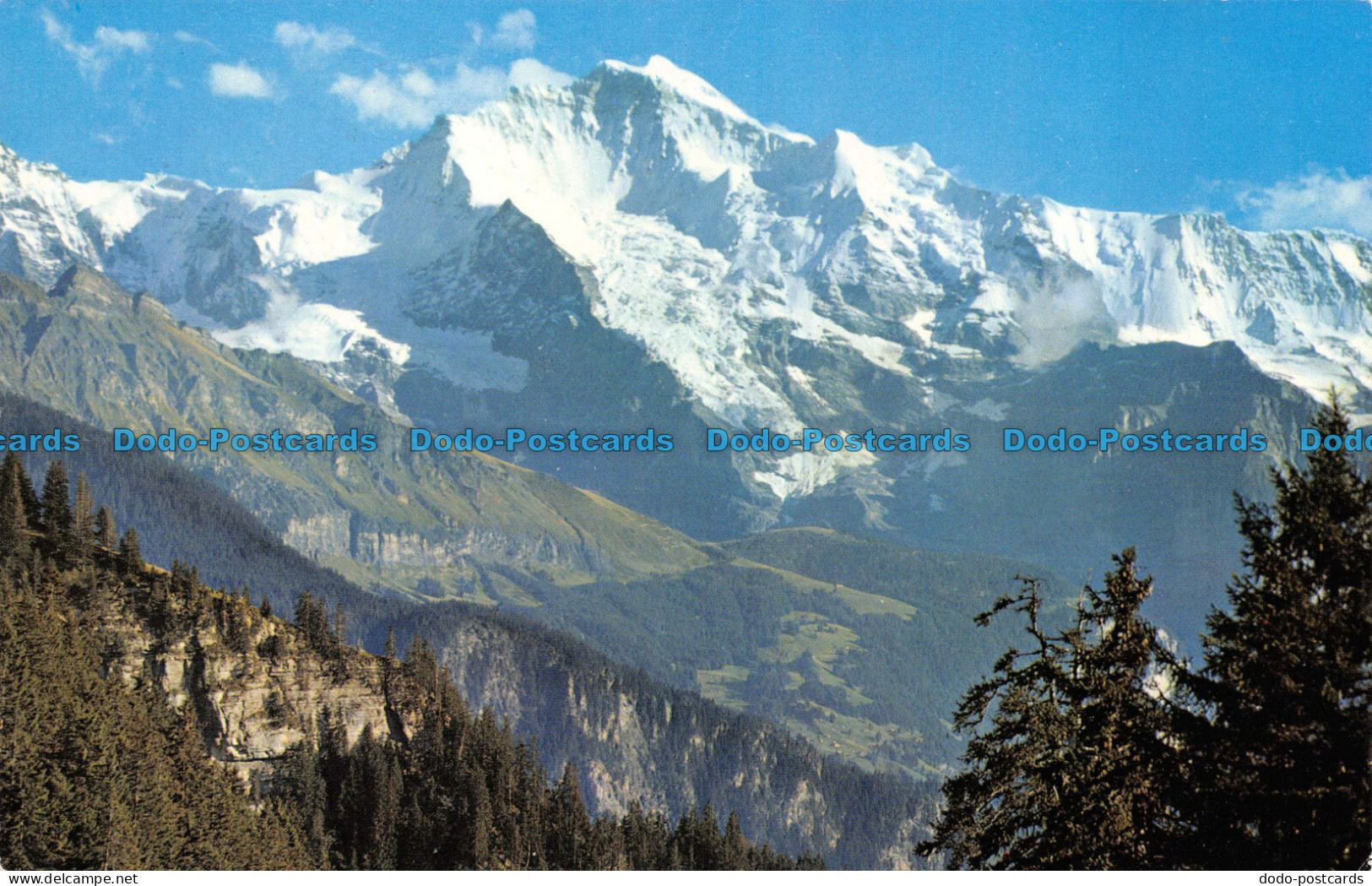 R065507 Jungfrau 4167 M. H. Steinhauer - World