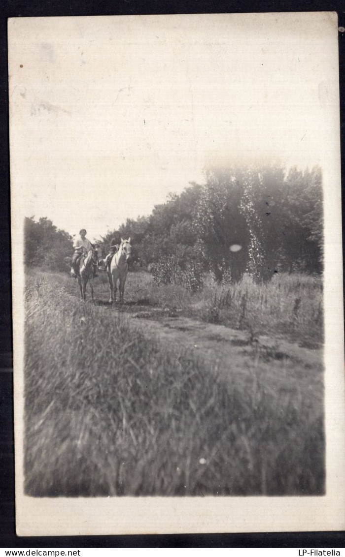 Postcard - Circa 1930 - Les Chevaux - Riding A Horse Down The Road - Cavalli