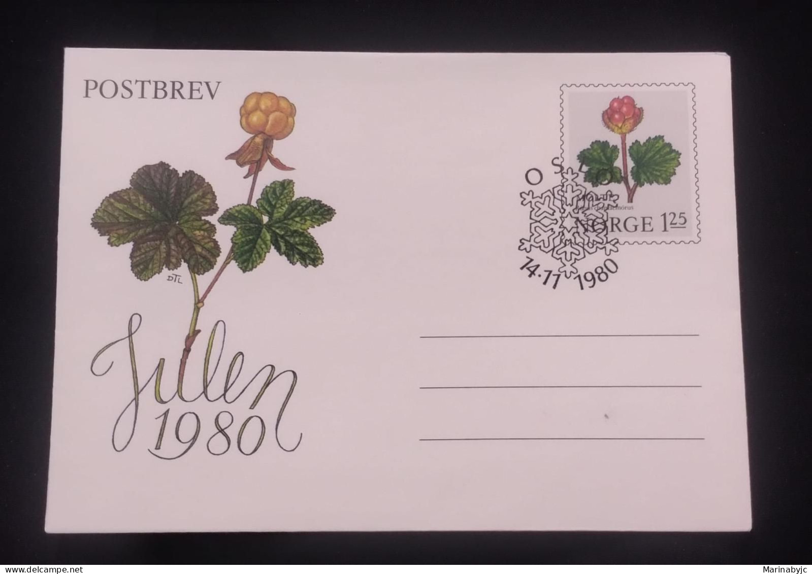 C) 1980. NORWAY. FDC. FLOWER STAMP POSTCARD. XF - Other & Unclassified