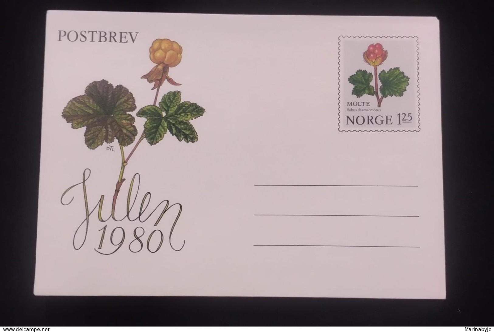 C) 1980. NORWAY. FDC. FLOWER STAMP POSTCARD. XF - Other & Unclassified