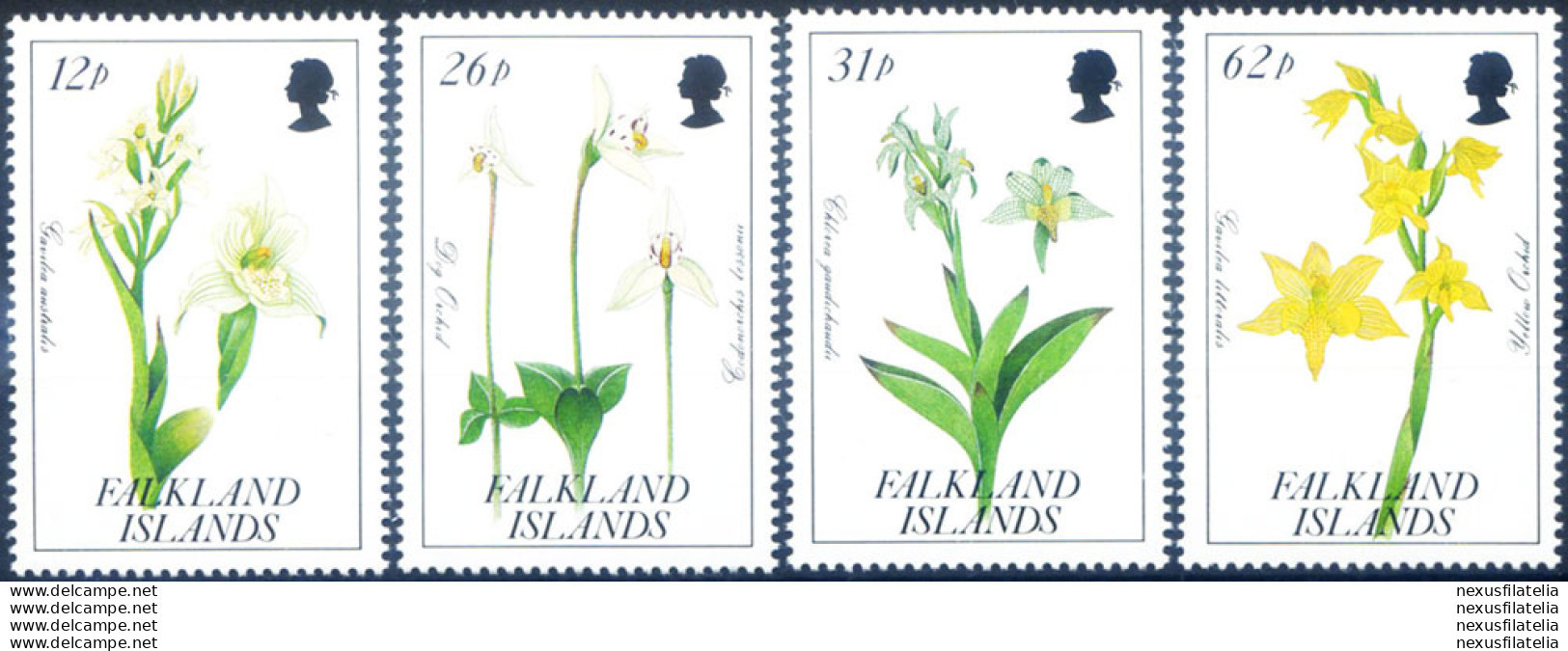 Flora. Orchidee 1991. - Falklandinseln