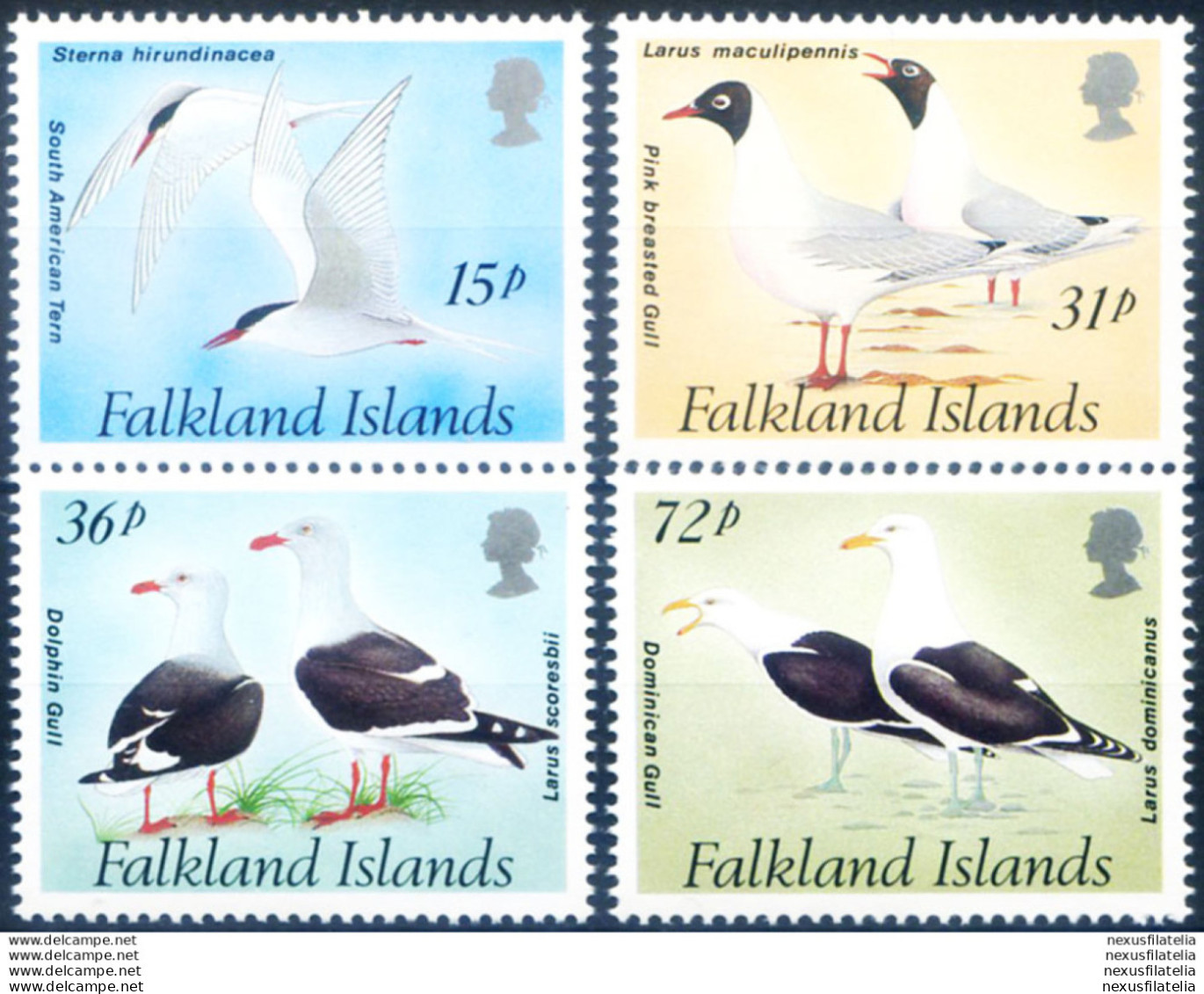 Fauna. Uccelli 1993. - Falklandinseln
