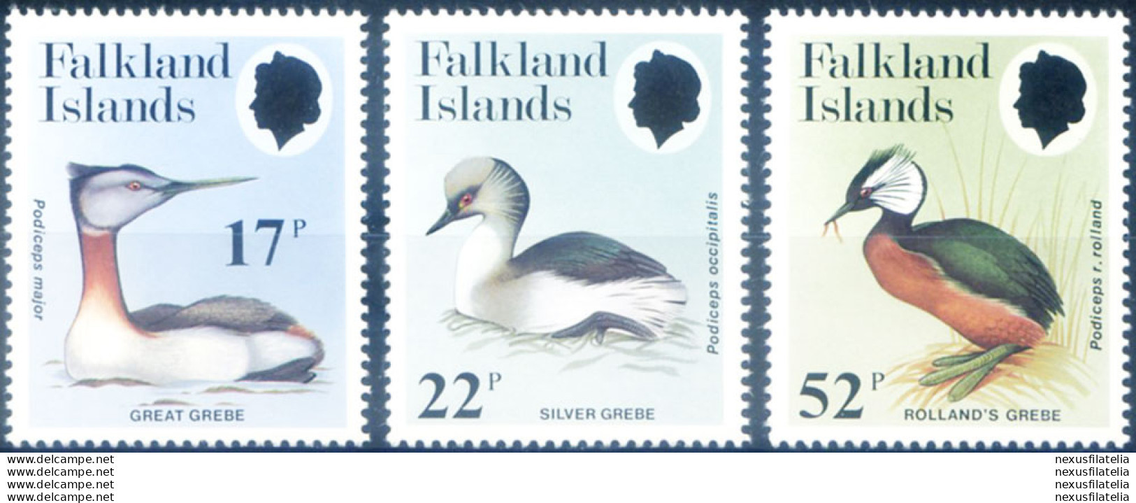 Fauna. Uccelli 1984. - Falkland Islands