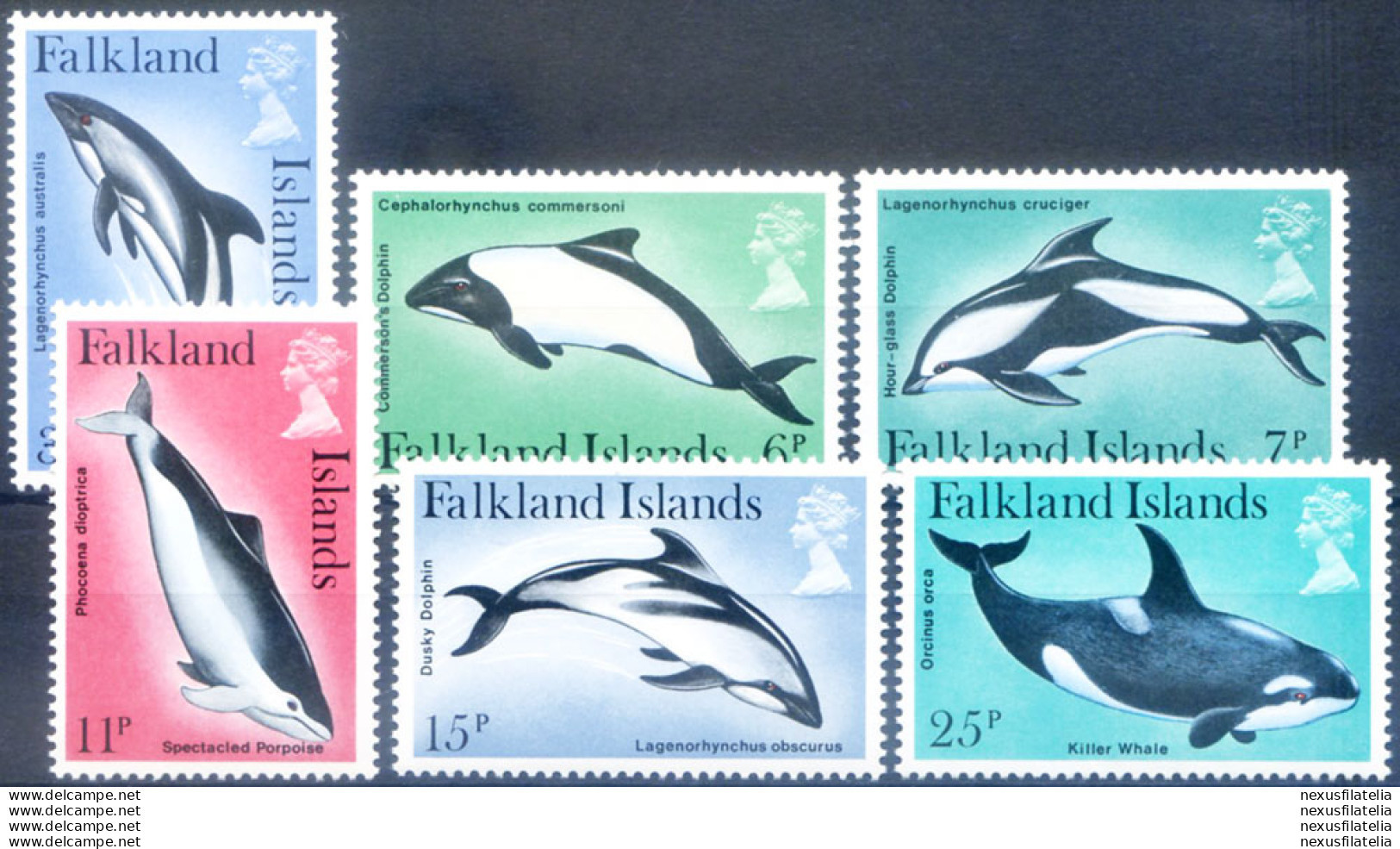 Fauna. Orche 1980. - Falklandinseln