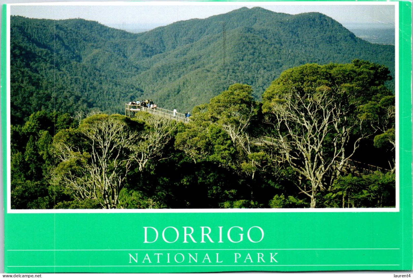 10-5-2024 (4 Z 36) Australia - NSW - Dorrigo NP (posted With Tulip Stamp 1995) - Sonstige & Ohne Zuordnung