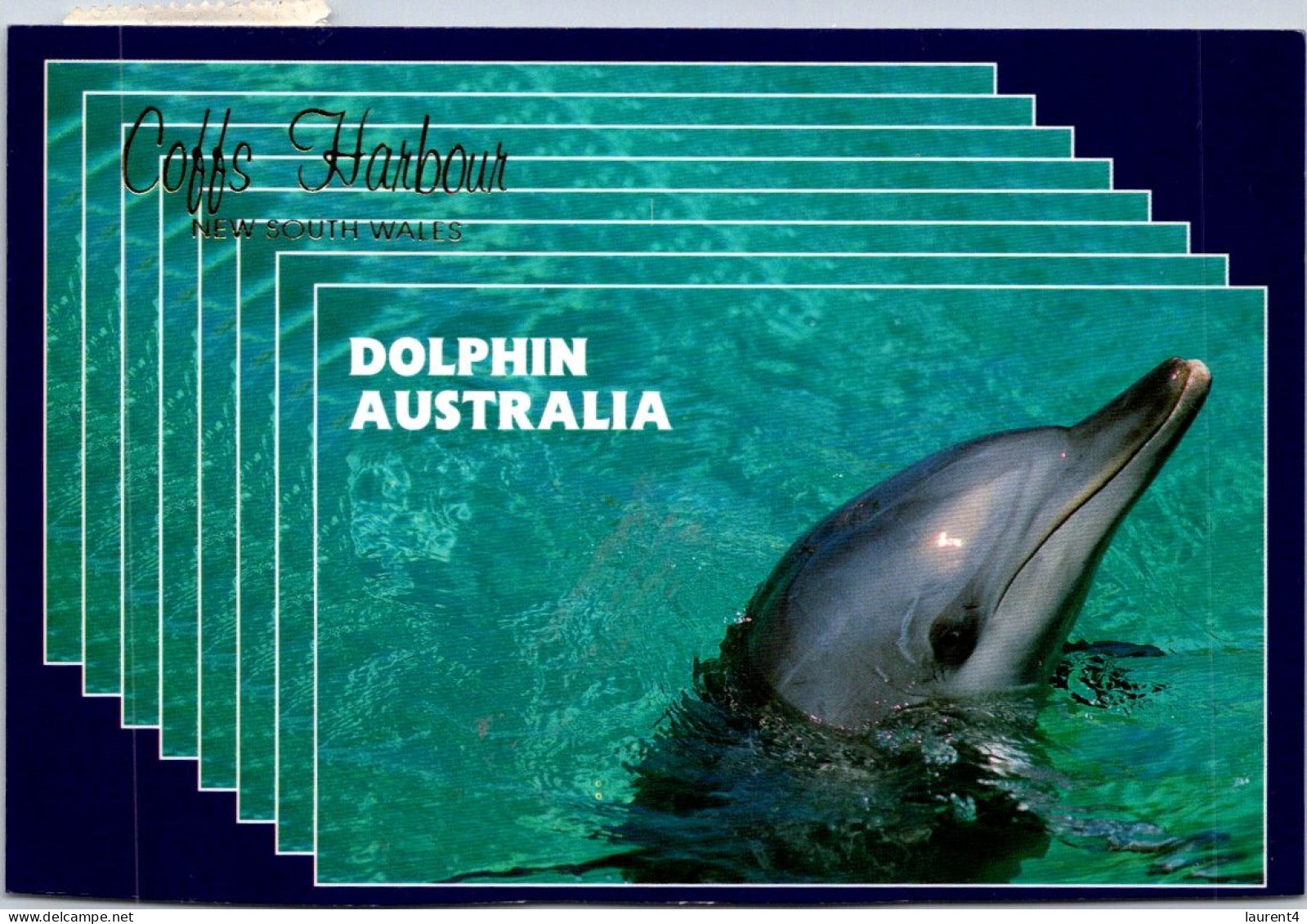 10-5-2024 (4 Z 36) Australia - NSW - Dolphin In Coffs Harbour (posted With Bird Stamp In 1997) - Pescados Y Crustáceos