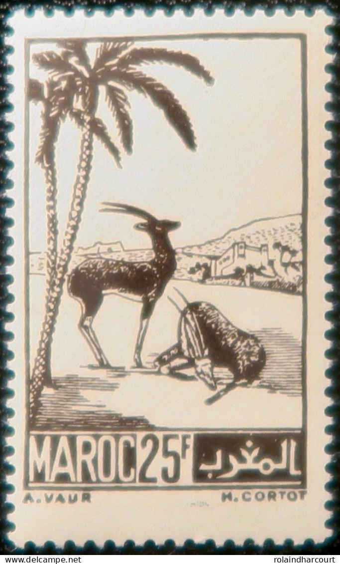 LP3844/2228 - COLONIES FRANÇAISES - MAROC - 1945/1947 - N°237 NEUF** - Unused Stamps